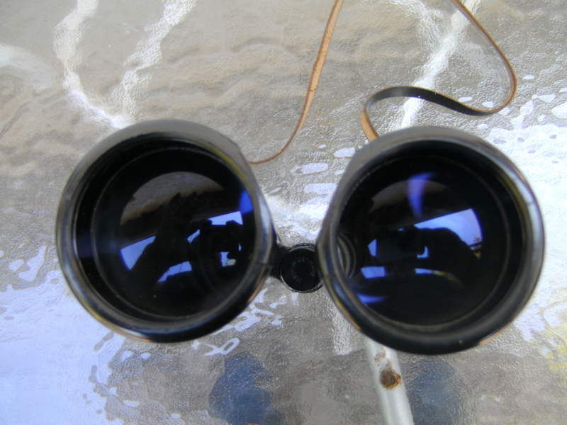 Fernglas Hensoldt 8 x 56 – bilde 4