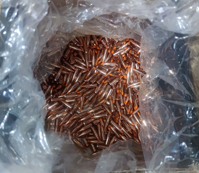 Nosler -Balistic Tip- Varmint .224 50 grs – Bild 2