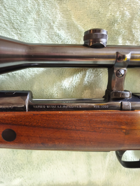 Mauser 2000 – imagen 3