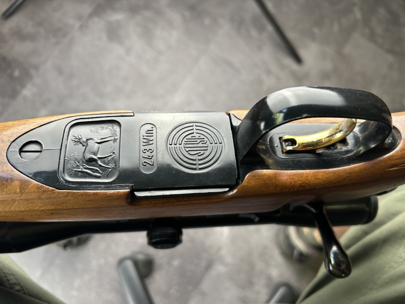 Steyr Mannlicher Mod.L 243 Winchester – Bild 6