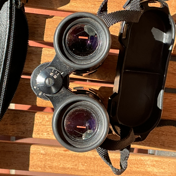 Zeiss Dialyt 7 x42 B T * – image 4