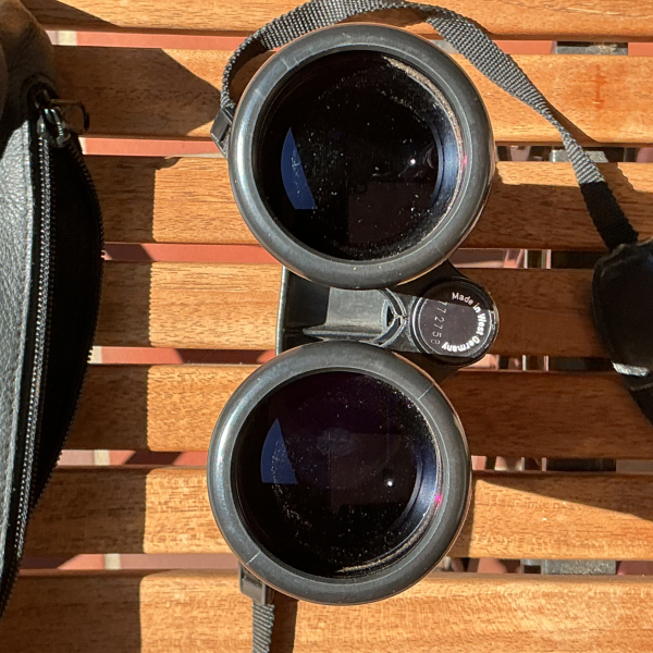 Zeiss Dialyt 7 x42 B T * – image 3