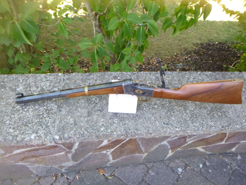 Remington Rolling Block Karabiner – stampa 3