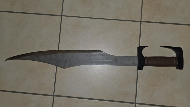 Stark gebrauchtes Spartaner Schwert / Cutlass – bilde 1