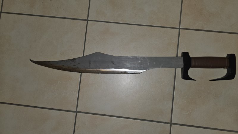 Stark gebrauchtes Spartaner Schwert / Cutlass – bilde 2