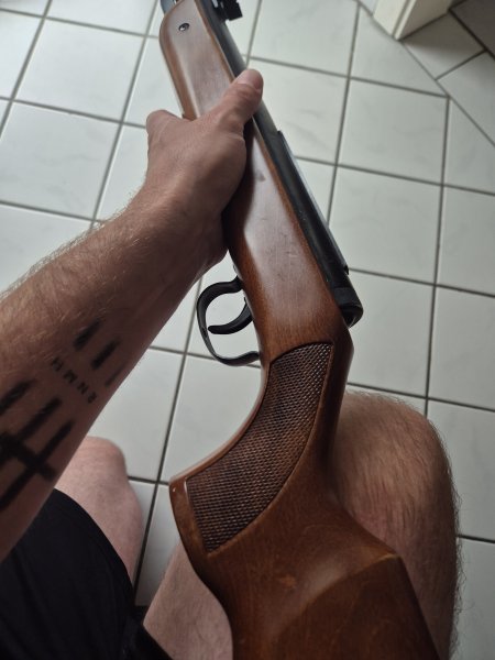 Luftgewehr Diana Modell 35 – Bild 3