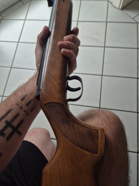 Luftgewehr Diana Modell 35 – Bild 4