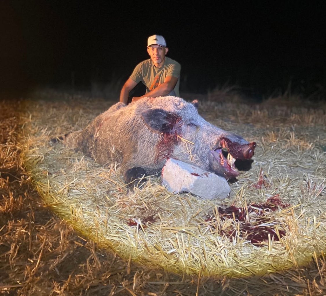Keiler Jagd – Bild 1