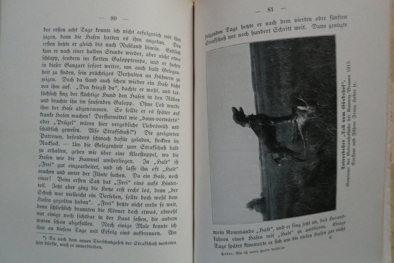 1935 WIE ICH MEINE HUNDE DRESSIERTE – Bild 2