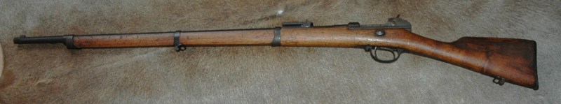 Werder Gewehr – Bild 1