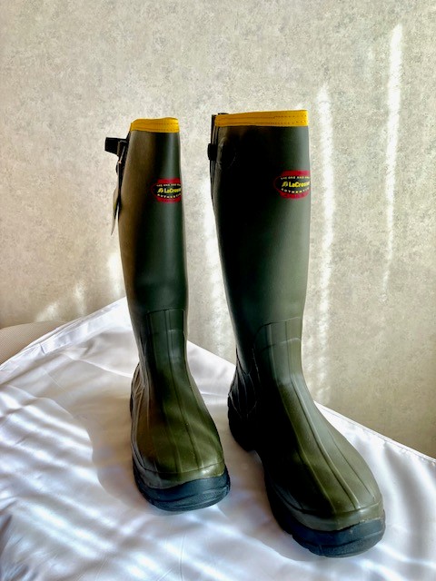 Gummistiefel – immagine 1