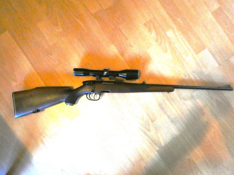 Steyr SL – obrázek 1