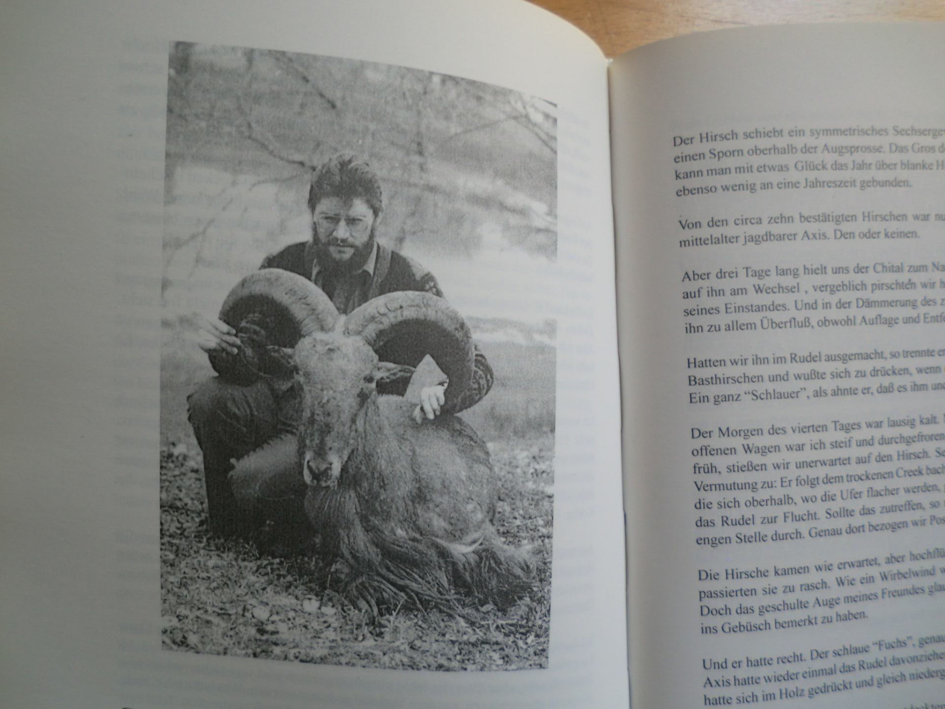 IM WILDBANN FREMDER REVIERE – Bild 2
