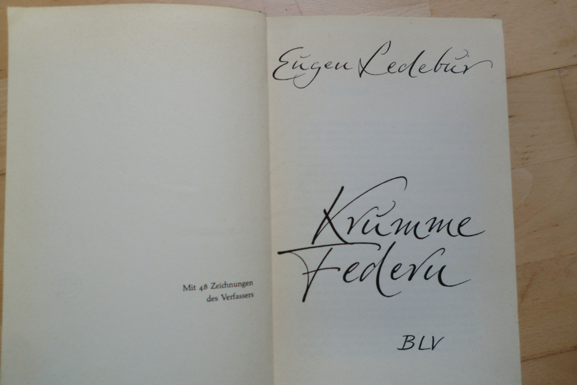 KRUMME FEDERN – immagine 2