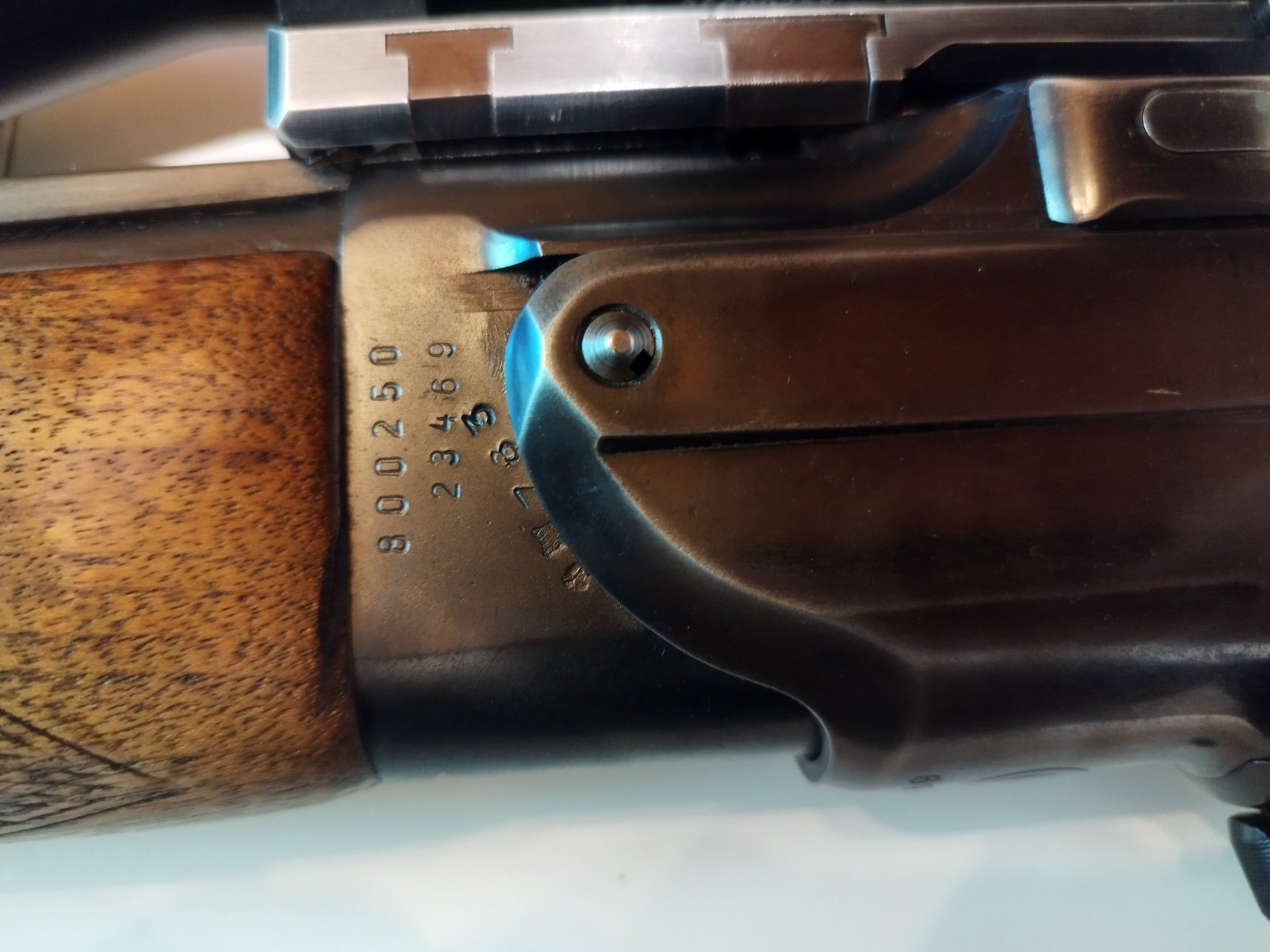 Brno ZH 124 Bockbüchsflinte Kal. 7x57R & 16/70 mit Minox Allrounder 3-15x56 und Riemen – Bild 4