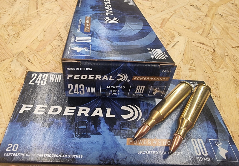.243/80grs. Federal JSP Power Shok 20 stk. No. 243AS – Bild 1