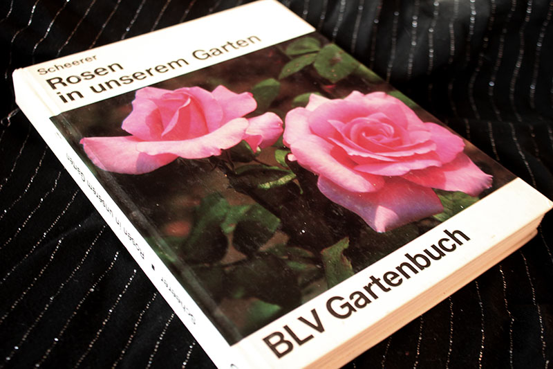 Rosen in unserem Garten - BLV Gartenbuch Oskar Scheerer – Bild 1