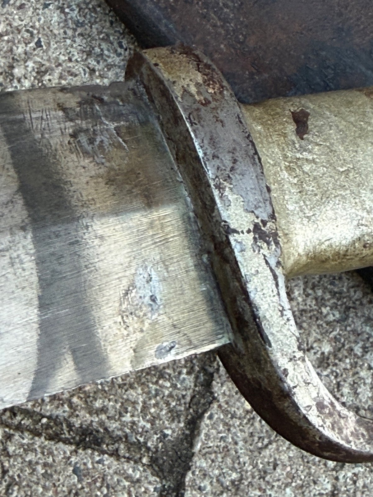 Altes Dolch Hauer Schwert 19 Jhd – Bild 6
