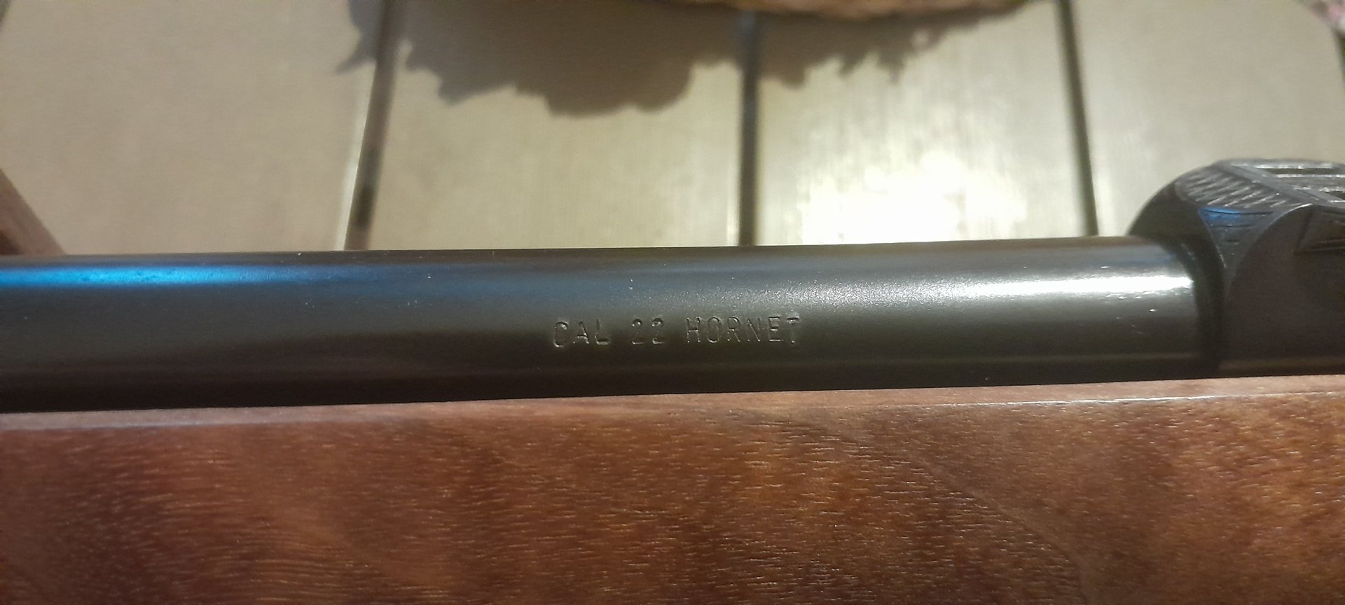 CZ ZKW 22 Hornet Match + Zielfernrohr – Bild 8