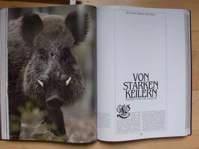 ZAUBER DER JAGD Luxusband – Bild 4