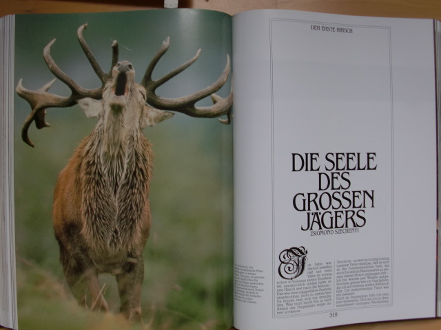 ZAUBER DER JAGD Luxusband – Bild 3