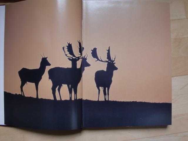 ZAUBER DER JAGD Luxusband – Bild 2