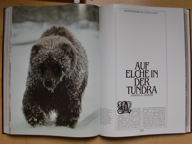 ZAUBER DER JAGD Luxusband – Bild 5