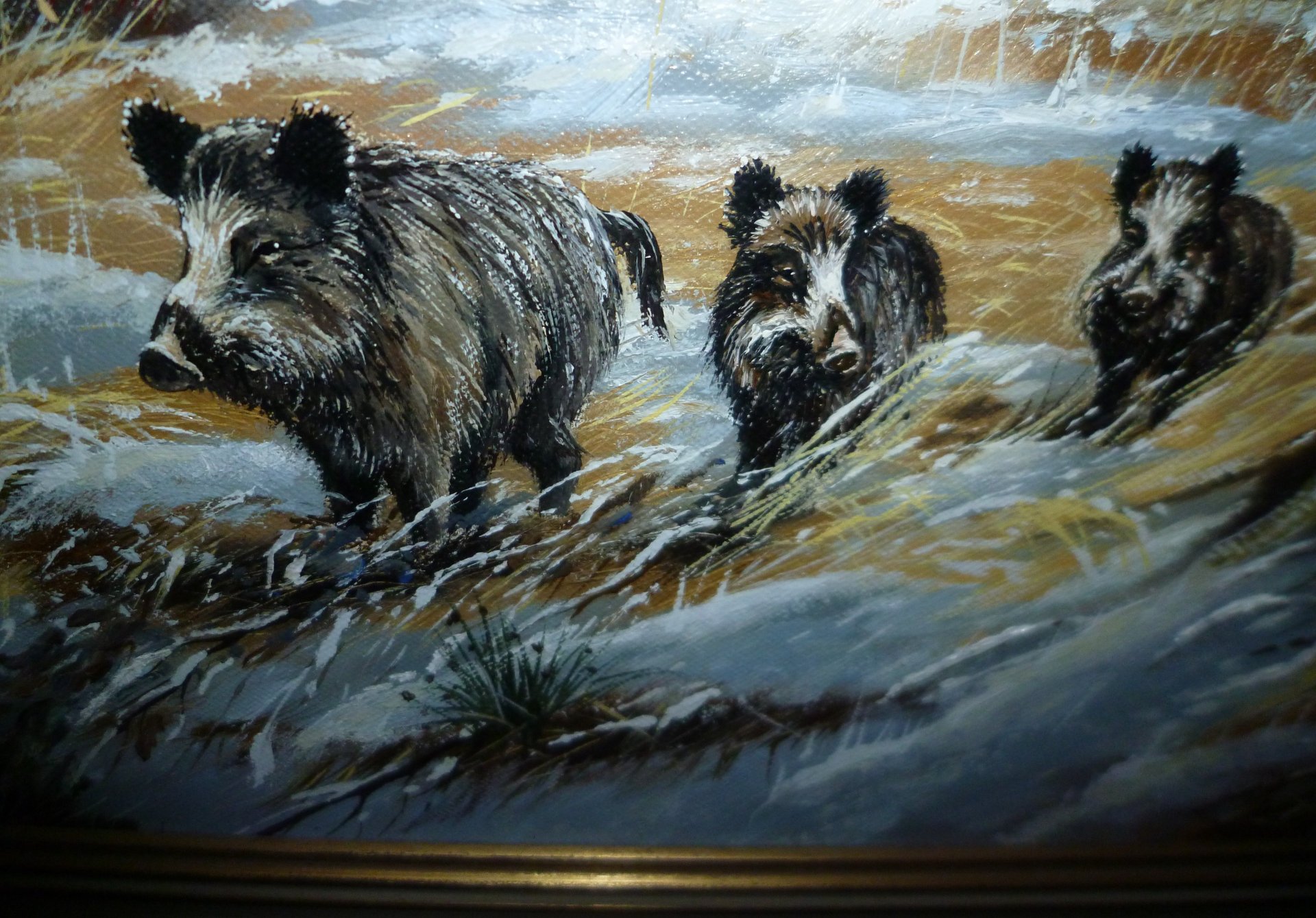 WILDSCHWEINROTTE, Jagdbild gerahmt – Bild 2