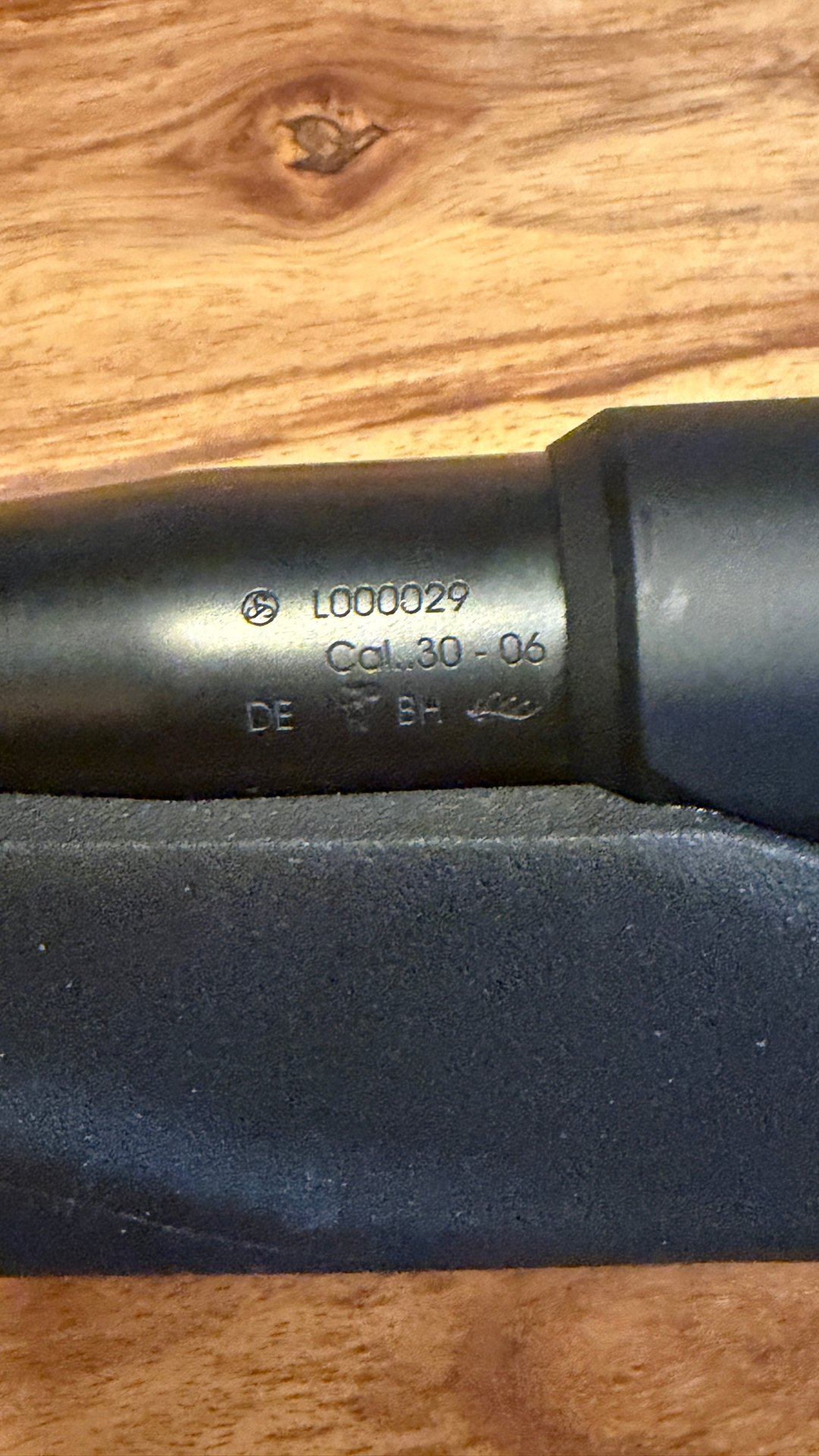 Sauer 303 – Kaliber .30-06 Springfield – Kunststoff-Lochschaft – Dentler-Grundschiene – Bild 5