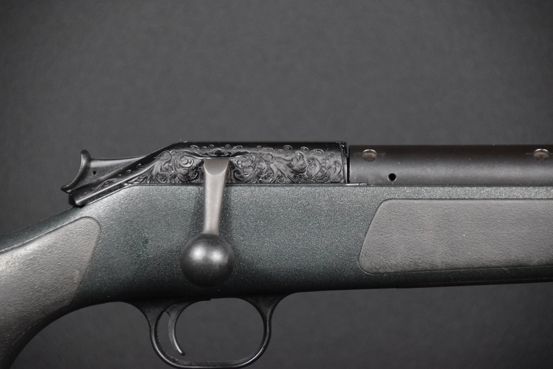 Blaser R93 Professional .30-06 – Semi Weight Lauf, gravierter Verschlussträger – Bild 2