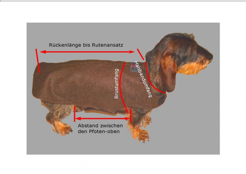 NEU HUNDEMANTEL - WENDEMANTEL FÜR DACKEL AUS GEBIRGSLODEN BRAUN / GRÜN – Bild 3