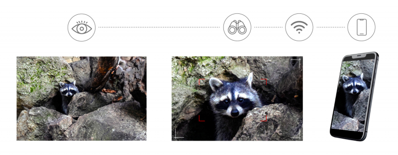 Levenhuk Kelvin Snap ED 8x42 Digitales Foto - Fernglas, für Jäger, Outdoor, Tierbeobachtung – Bild 2