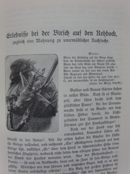 1914-1998 WEIDMANNSFREUD UND WEIDMANNSLEID – Bild 2