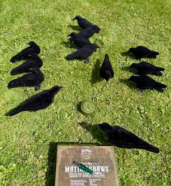 Krähenjagd Set mit Original Krähenmagnet, Krähenlocker & 10 Stück Lockkrähen Mix – Bild 3