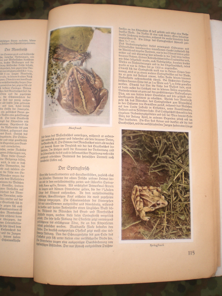 Antiquarisches Buch: altes Sammelbilderalbum - Aus Wald und Flur – Bild 3