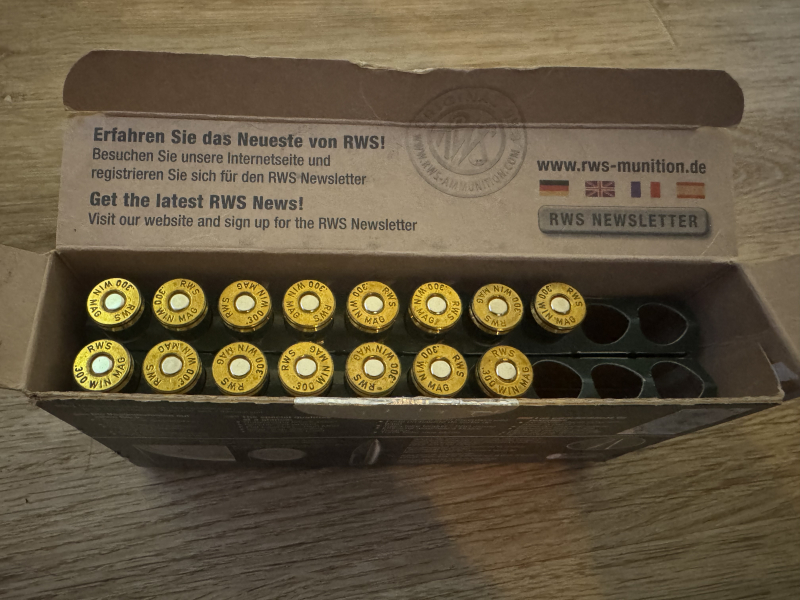 15 Schuss .300 Win. Mag. RWS EVO GREEN 136gr – immagine 2