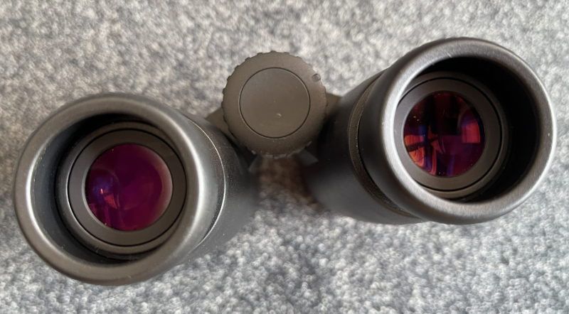 Zeiss Fernglas 8x56 Viktory T* FL – Bild 4