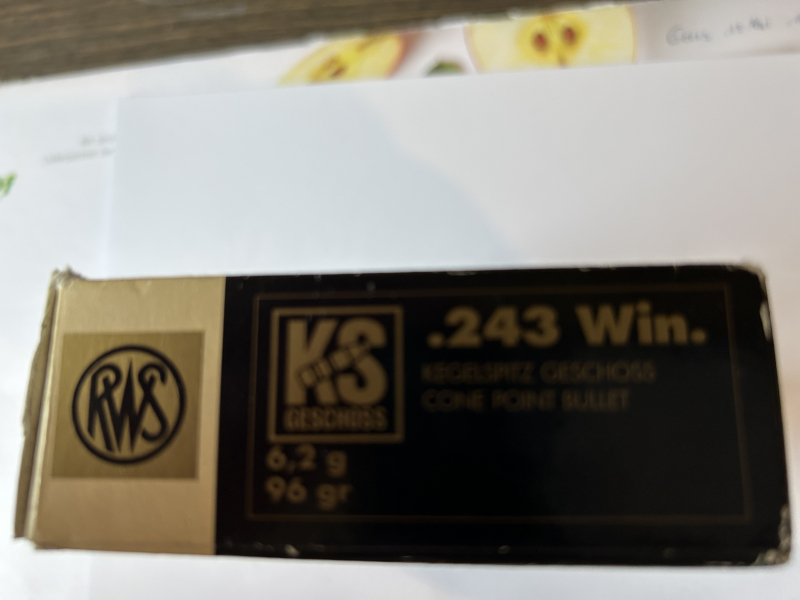 RWS 40Patronen im Kal . 243 Winchester 6,2 gr.KS eine Losnummer – bilde 2