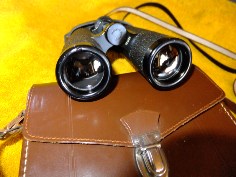 Fernglas Hensoldt Dialyt 8x32 m. Ledertasche sehr gut! – billede 4