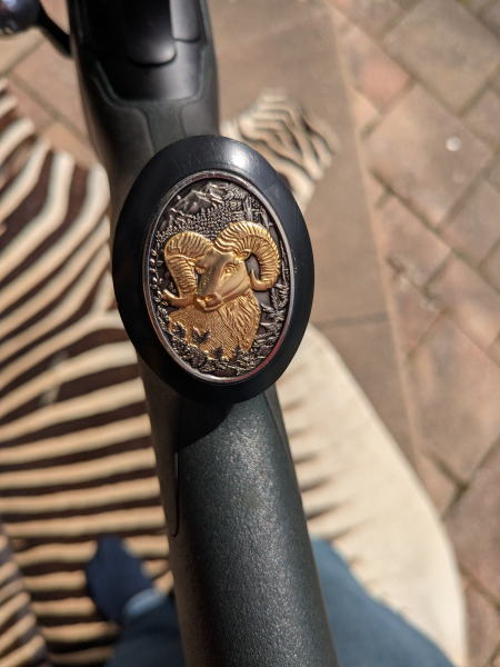 Blaser R8 Professional 338 WM – Bild 2