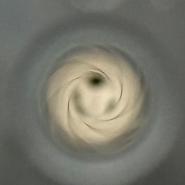 Pistole Hämmerli X-Esse IPSC .22lr - versandkostenfrei - – Bild 6