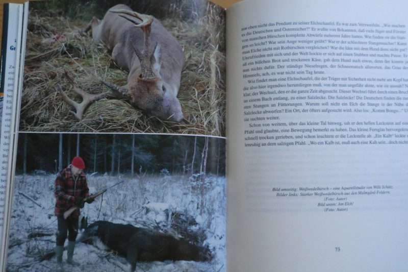 ABSCHIED VON ELAN - GRAUE HUNDE, ELCHE, NORDISCHE JAGD – Bild 2