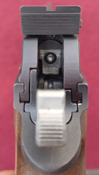 Eine von 50! P 210-5, 180 mm Lauf - H+R Zürich – Bild 6