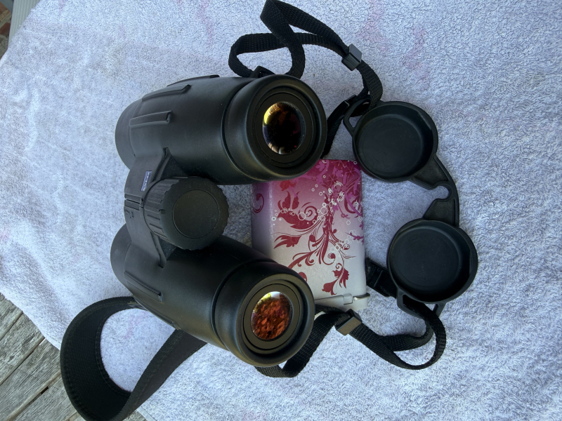 Fernglas Zeiss Victory 8x56 T*FL – Bild 5