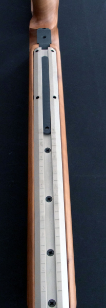 Anschütz 2007 / 2013 Schaft – image 4