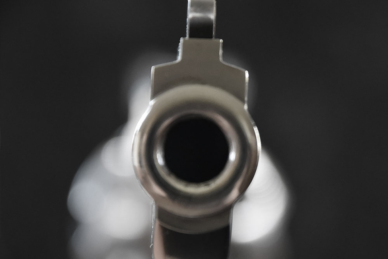 Taurus CUS-689 Stainless Steel, .357 Magnum – attēls 3