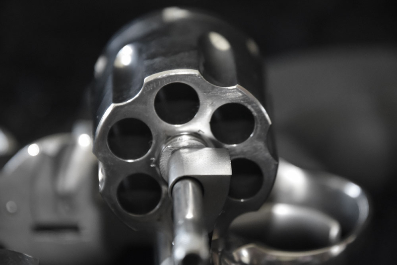 Taurus CUS-689 Stainless Steel, .357 Magnum – attēls 2