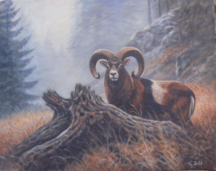 Jagdgemälde "MUFFLON" - Tier-und Jagdmaler - Thomas Bold – εικόνα 1