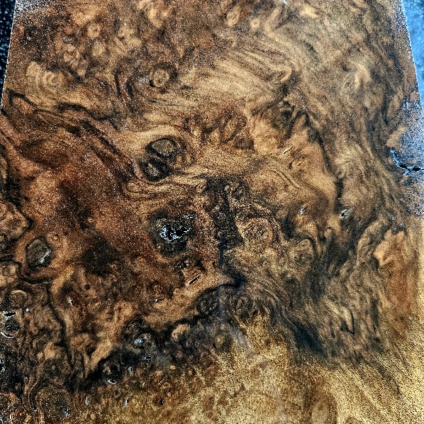 VOGELAUGEN AUSSTELLUNGSSTÜCK – nuotrauka 1