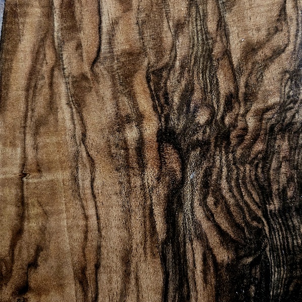 AUSSTELLUNGSSTÜCK SCHAFTROHLING – billede 1